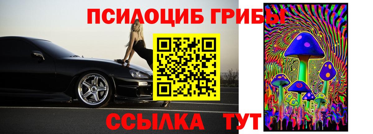 Псилоцибиновые грибы мицелий Новоуральск