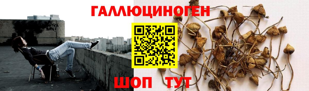 Новоуральск  наркошоп  Вход с VPN  Псилоцибиновые грибы мицелий 